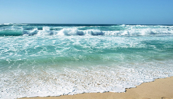 海洋环境 海洋环境