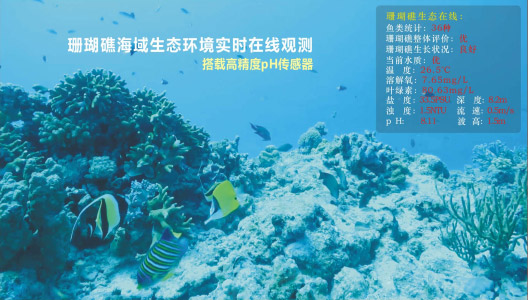海洋观测 海洋观测