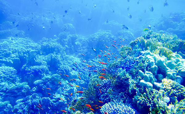 海洋开发的重要性及意义 海洋开发的重要性及意义