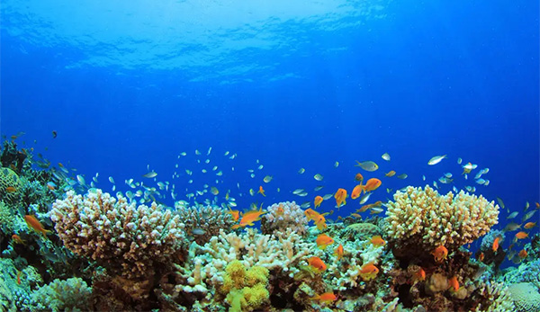 海洋开发的重要性及意义 海洋开发的重要性及意义