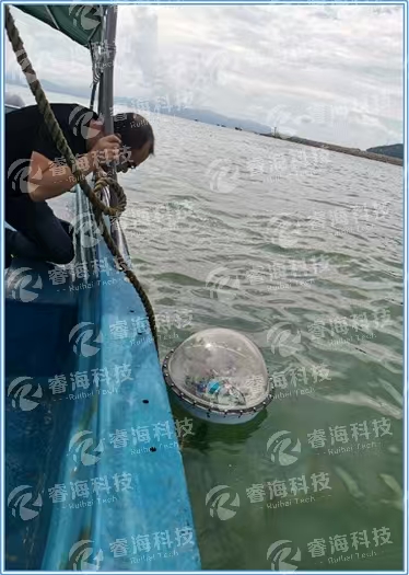 微信图片_20250225154815 微信图片_20250225154815