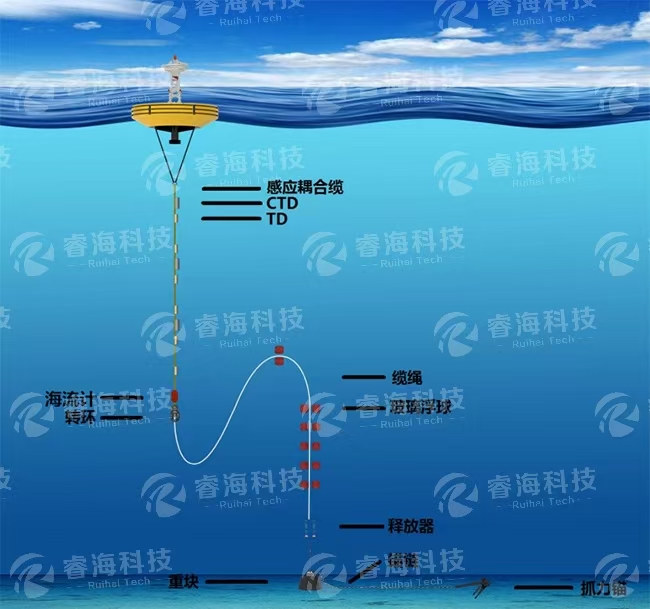 微信图片_20250225165822