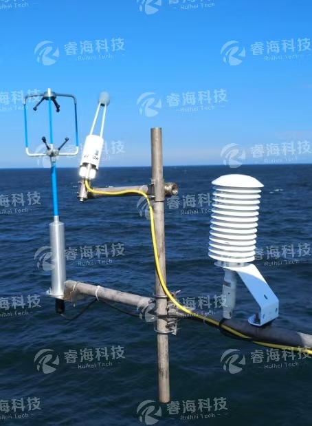 微信图片_20250225172311 微信图片_20250225172311