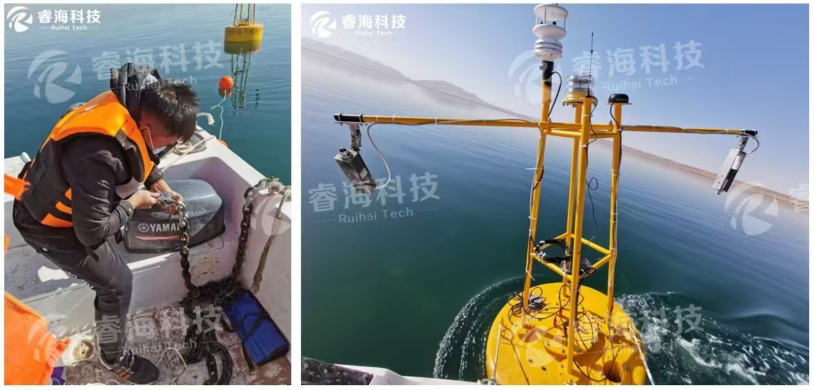 微信图片_20250227105019