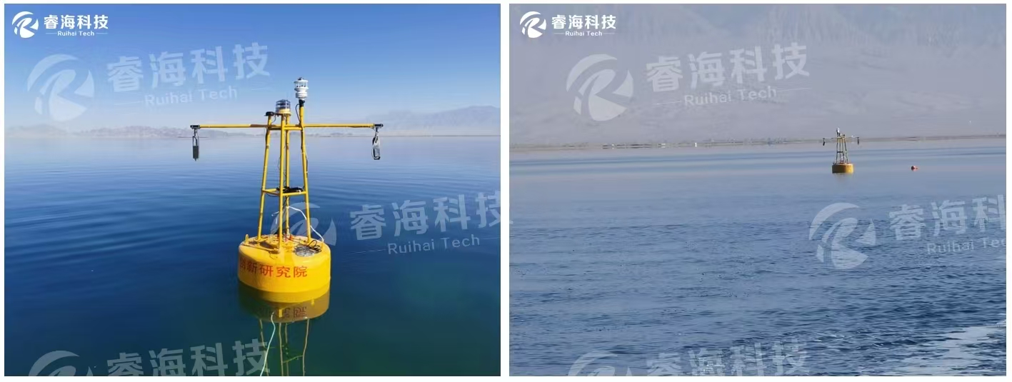 微信图片_20250227112330