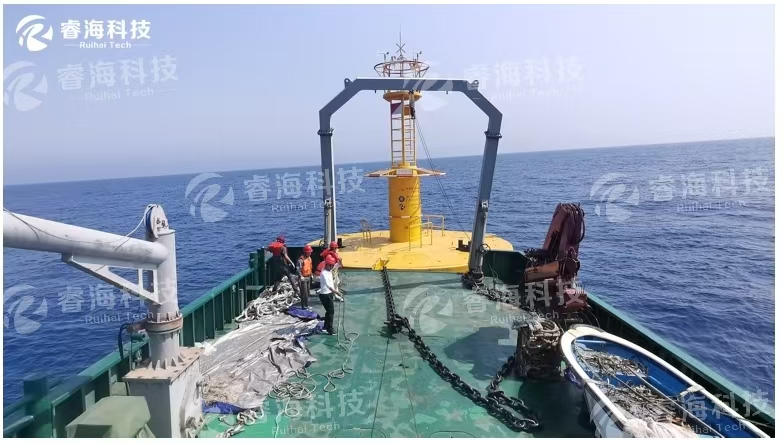 微信图片_20250227134324 微信图片_20250227134324