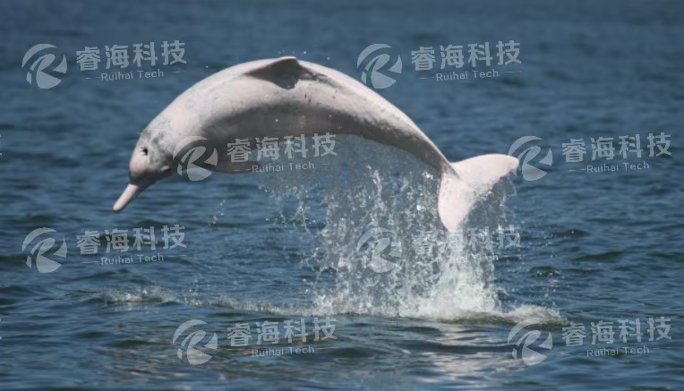 微信图片_20250227103415